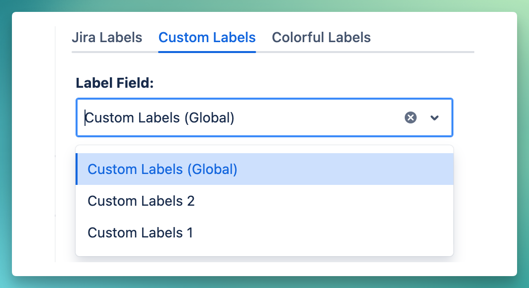 Custom-Labels-Field-1.png